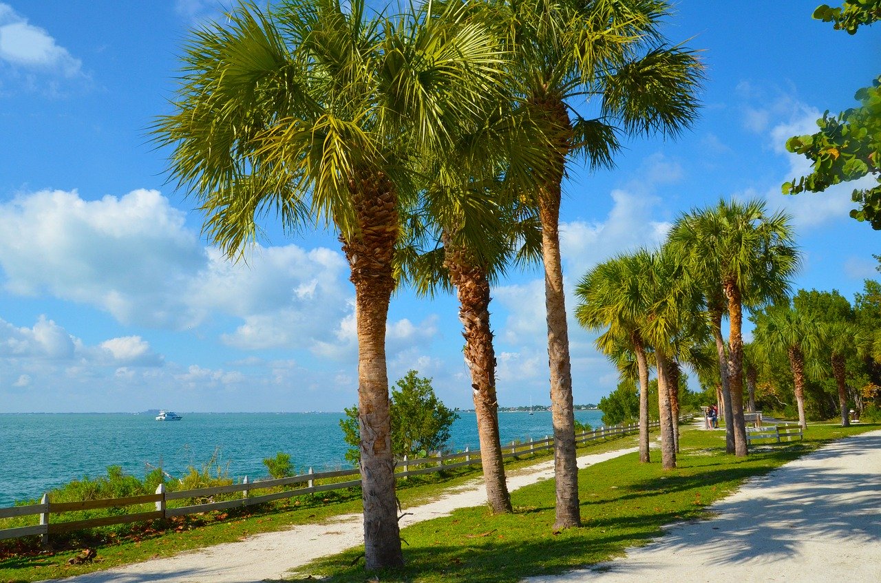 The best places to raise a family in Florida | Moving Kings Van Lines FL